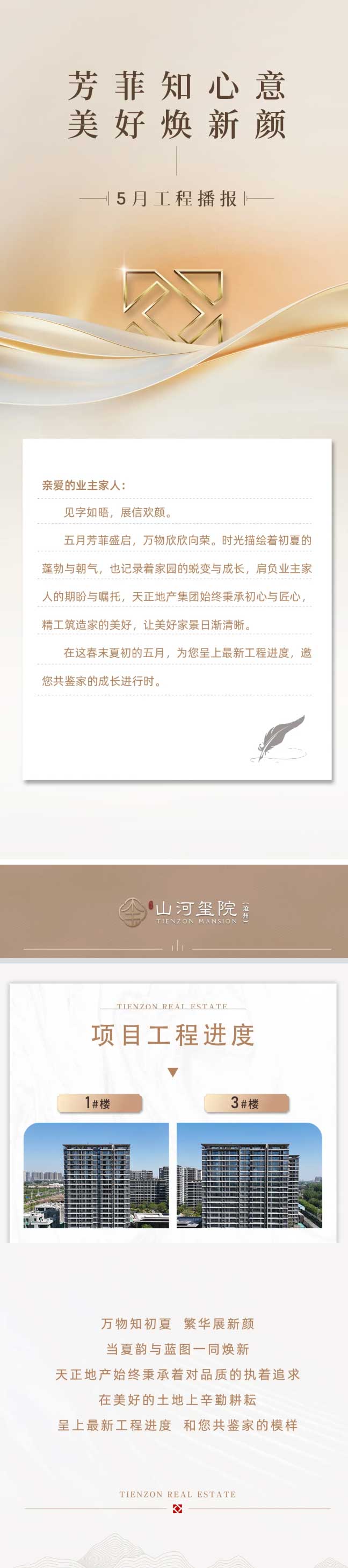 t2.jpg